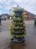 Pagoda Self Watering Tiered Tower Planter in Town Centre