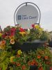 Pagoda Self Watering Planter Tower Display Board