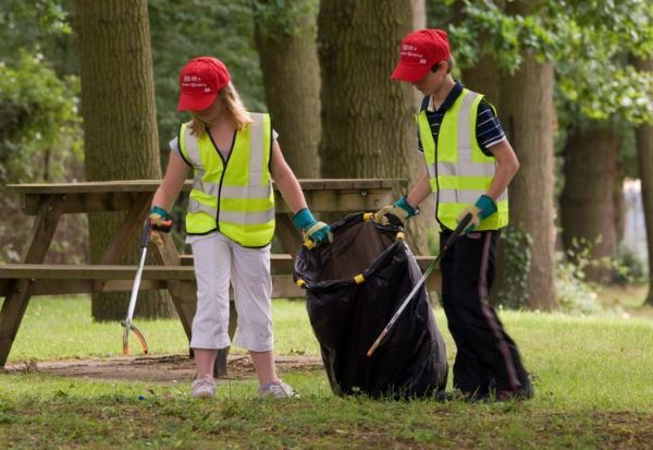 Graptor Litter Picker