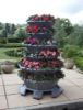 Plant Pagoda Tower