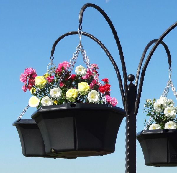 Picture of 20" Pagoda Hanging Basket